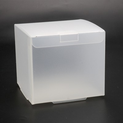 Recyclable Custom Made PP PVC Plastic Box Packaging