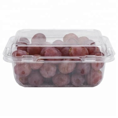 FOOD SAFE Wholesale Disposable Clamshell, Clear PET Blister Box, Fresh Fruits Container, Volume 850g