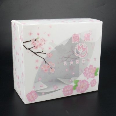 Transparent PP PVC Retail Packaging Boxes Plastic Clear Shoe Box